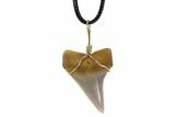 Fossil Mako Tooth Necklace - Bakersfield, California #95247-1